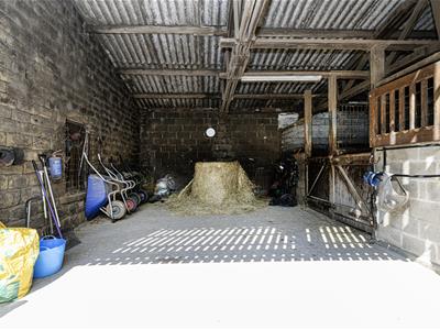 Picture 13